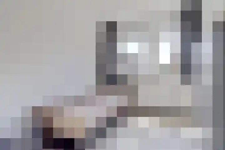 Kerkekkers 4 Hulsel thumbnail 28