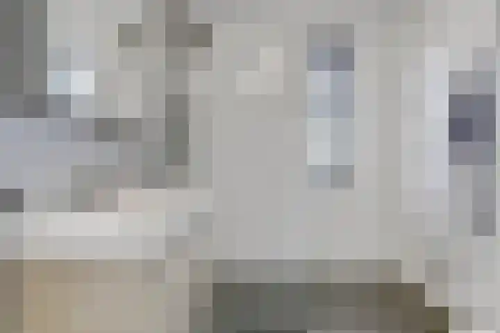 Kerkekkers 4 Hulsel thumbnail 30