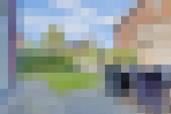 Kerkekkers 4 Hulsel thumbnail 37