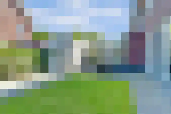 Kerkekkers 4 Hulsel thumbnail 39