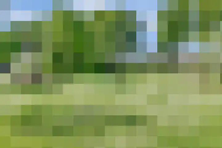 Kerkekkers 4 Hulsel thumbnail 45