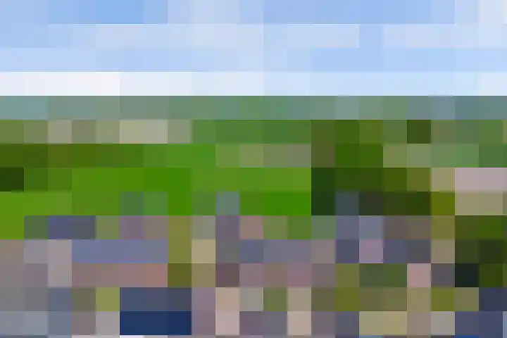 Kerkekkers 4 Hulsel thumbnail 47