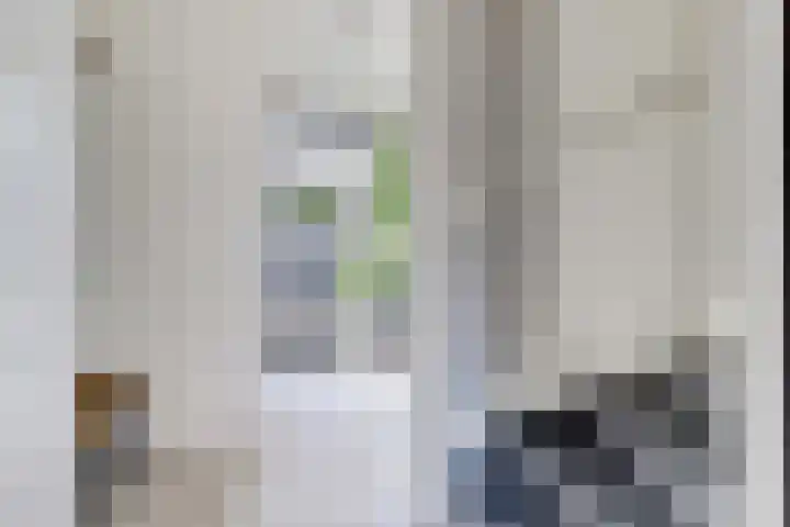 Kerkekkers 4 Hulsel thumbnail 8