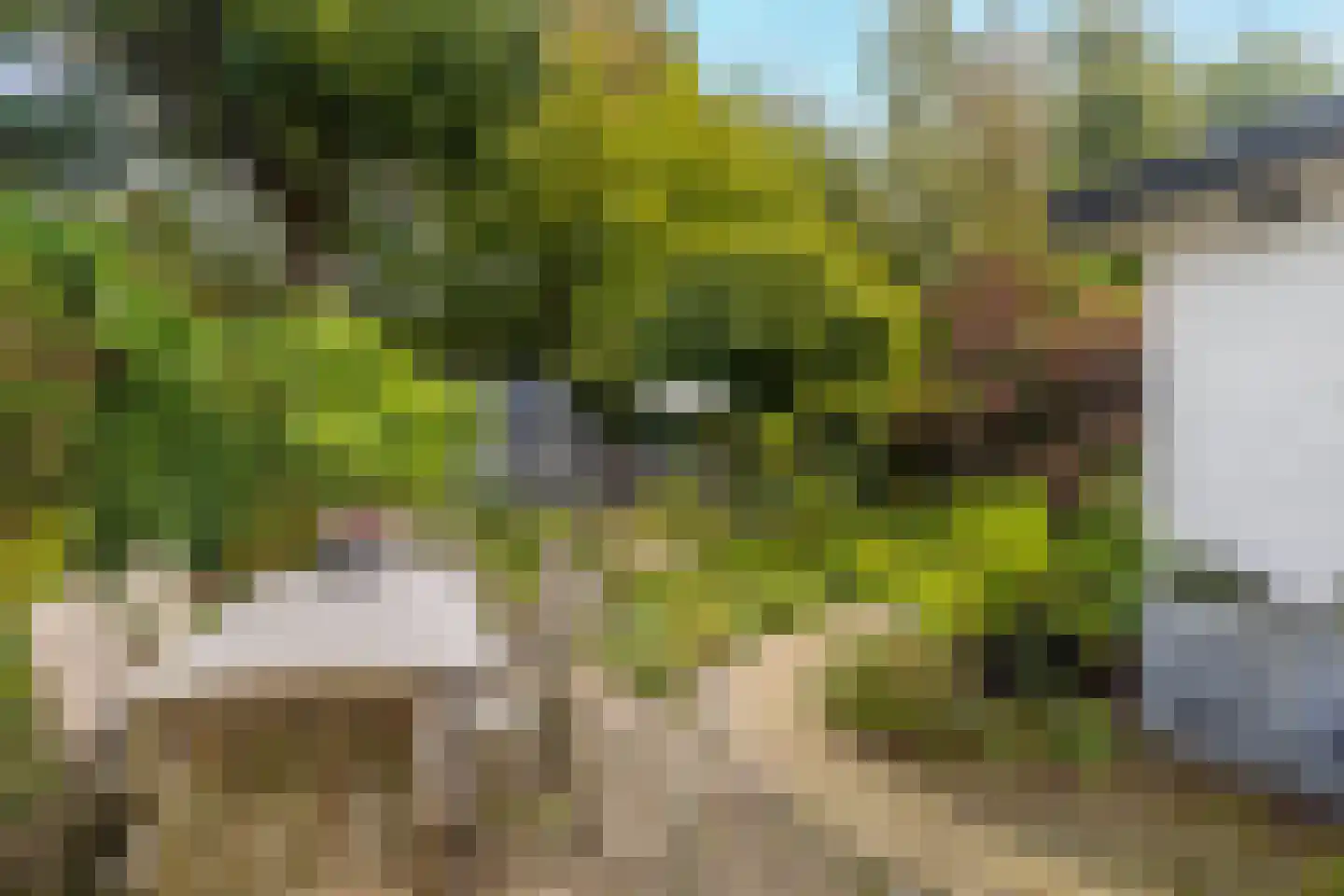 Kerkelaan 11 Heiloo thumbnail 34