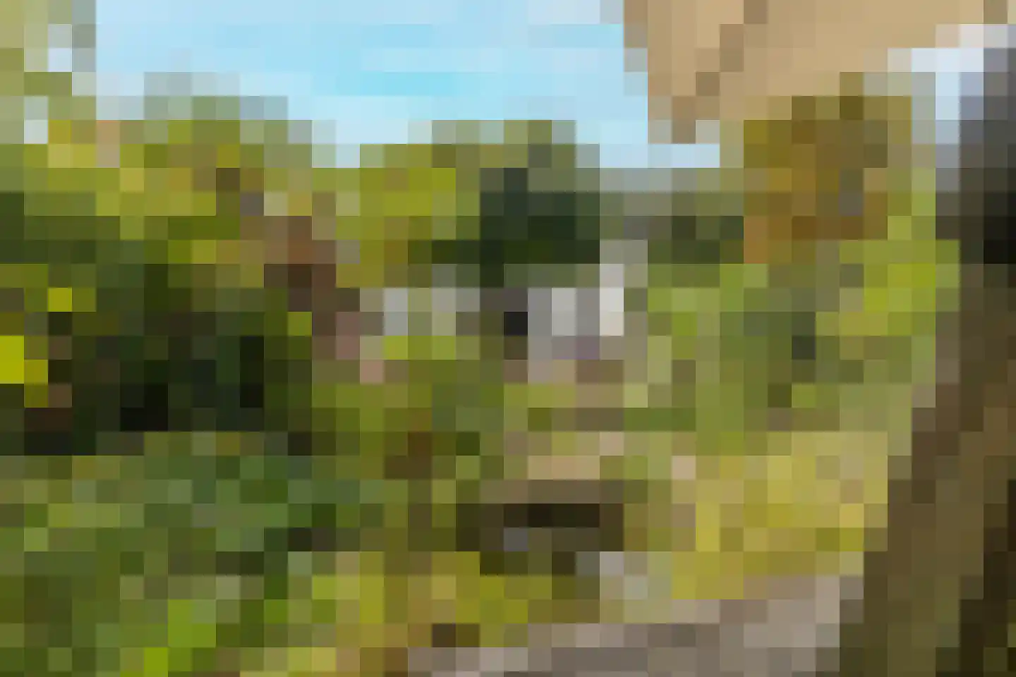 Kerkelaan 11 Heiloo thumbnail 35