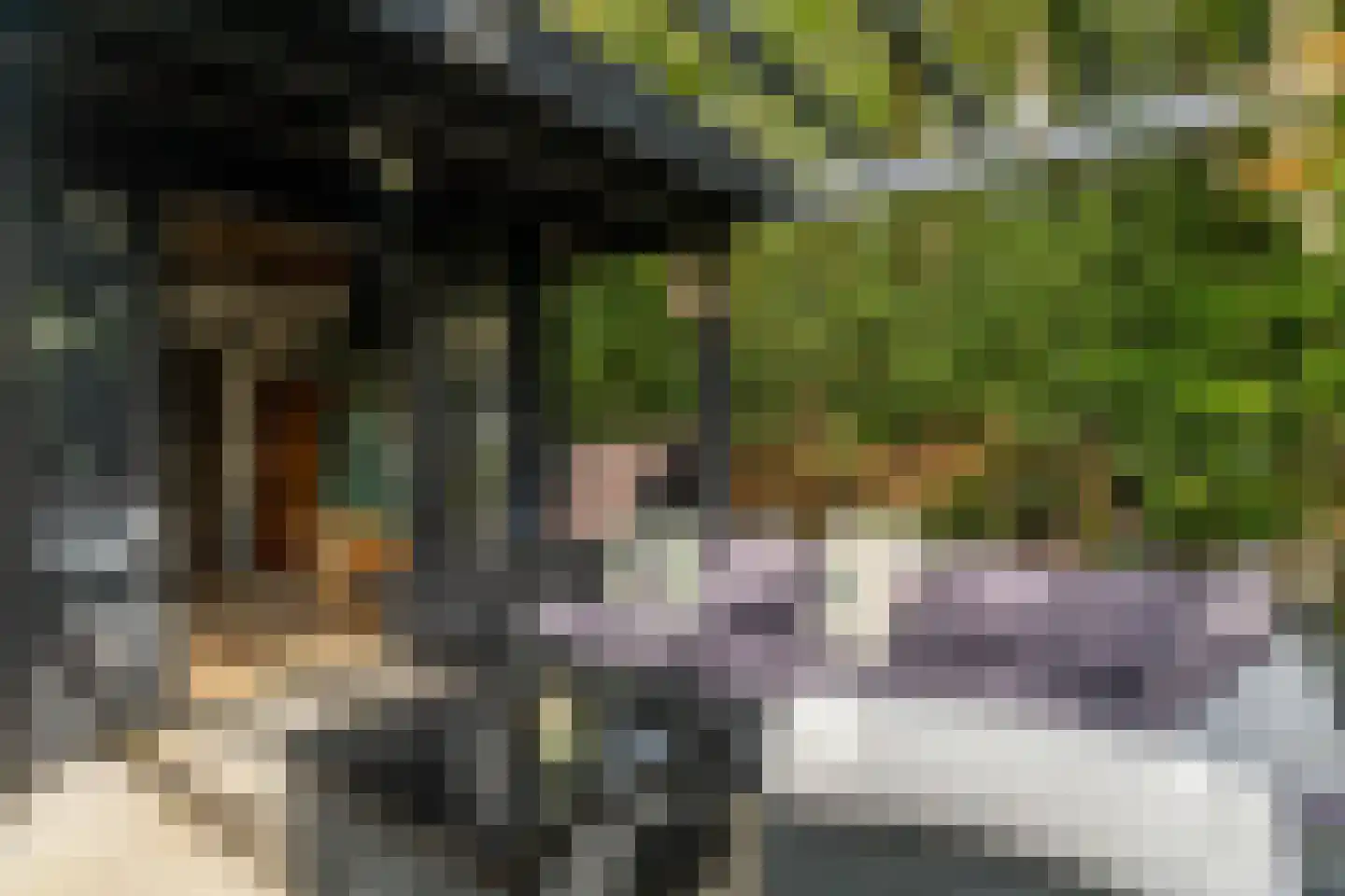 Kerkelaan 11 Heiloo thumbnail 41