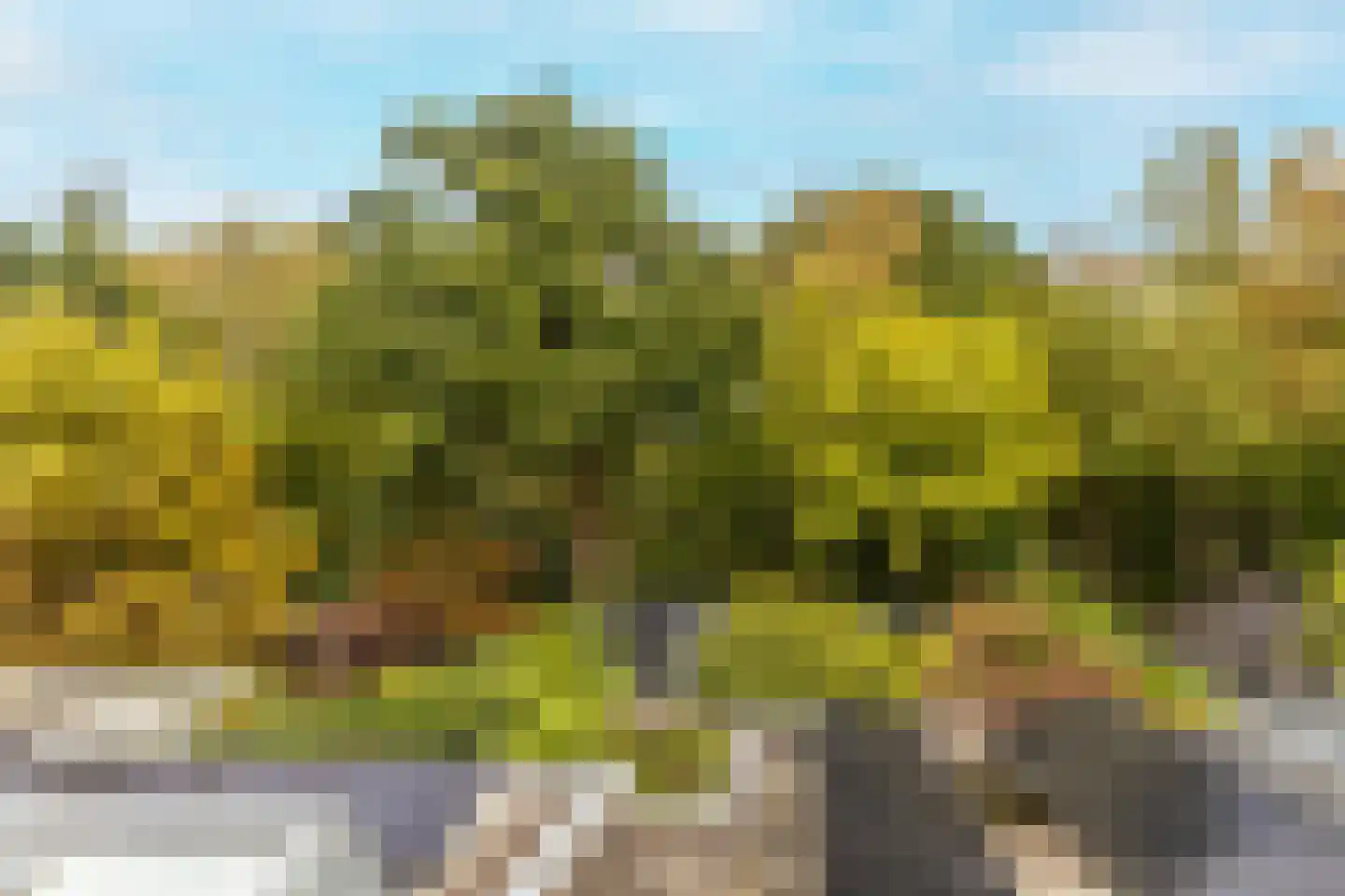 Kerkelaan 11 Heiloo thumbnail 44