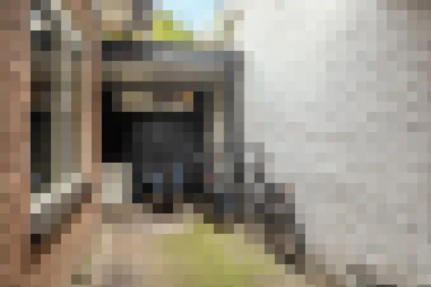 Kerkelaan 11 Heiloo thumbnail 46