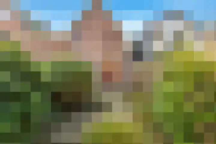 Kerkelaan 17 Heiloo thumbnail 34