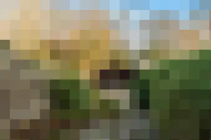 Kerkelaan 17 Heiloo thumbnail 39