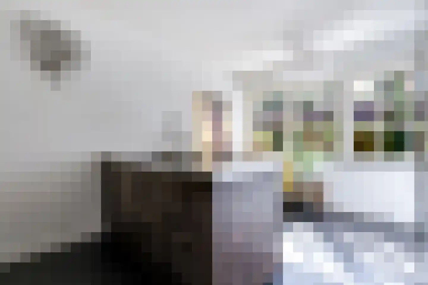 Kerkelaan 19 Bergen (NH) thumbnail 17