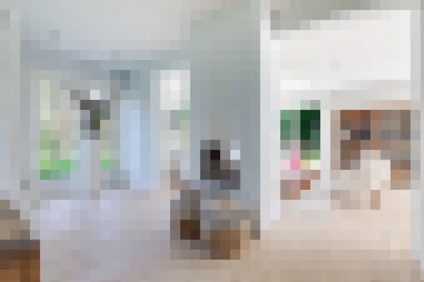Kerkelaan 19 Bergen (NH) thumbnail 26