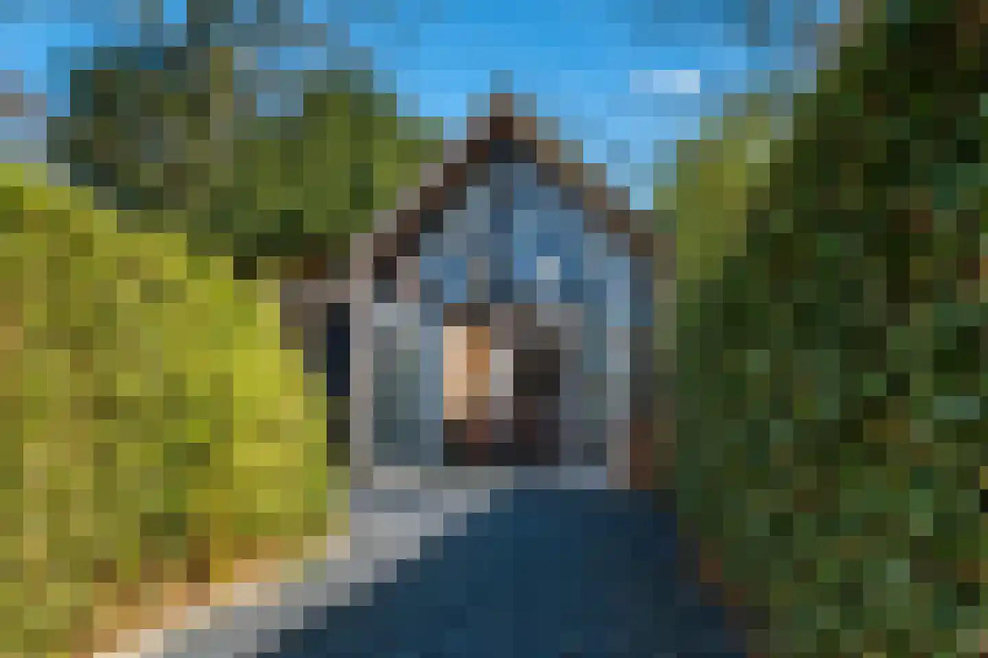 Kerkelaan 19 Bergen (NH) thumbnail 4