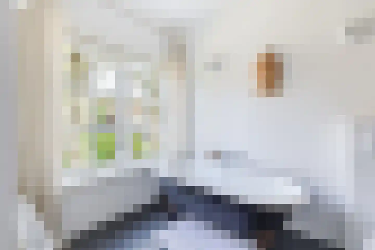 Kerkelaan 19 Bergen (NH) thumbnail 43