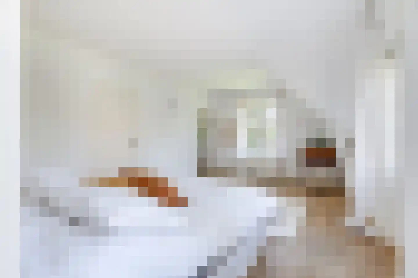 Kerkelaan 19 Bergen (NH) thumbnail 47