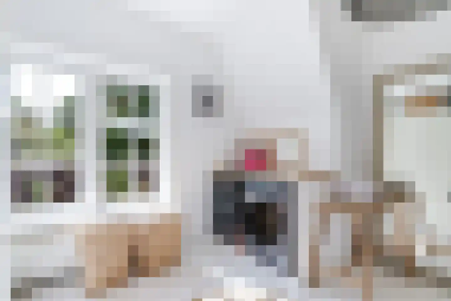 Kerkelaan 19 Bergen (NH) thumbnail 51