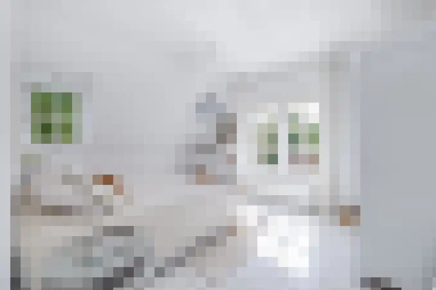 Kerkelaan 19 Bergen (NH) thumbnail 53