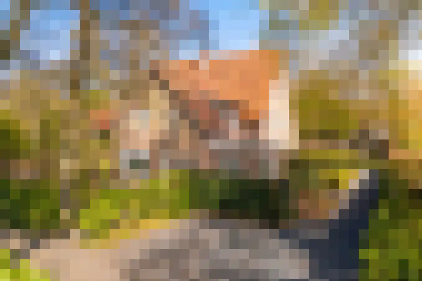 Kerkelaan 19 Bergen (NH) thumbnail 6