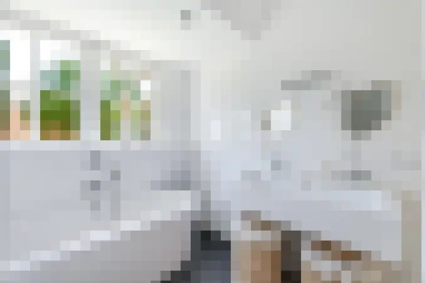 Kerkelaan 19 Bergen (NH) thumbnail 60