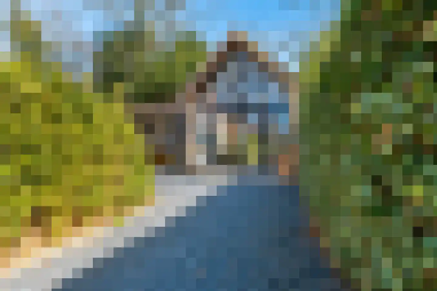 Kerkelaan 19 Bergen (NH) thumbnail 77