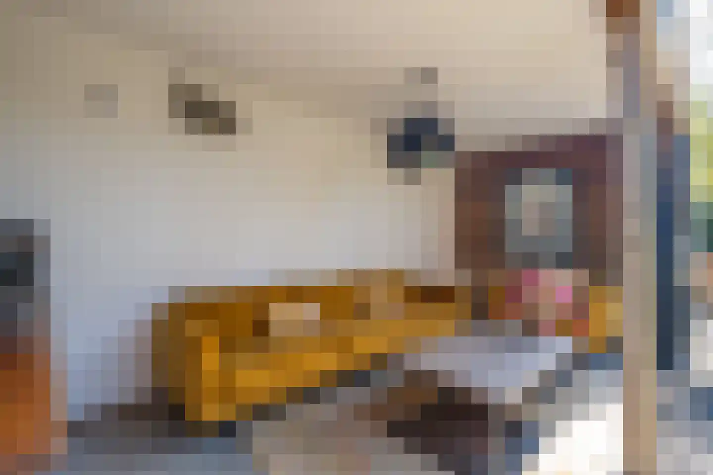 Kerkelaan 19 Bergen (NH) thumbnail 89