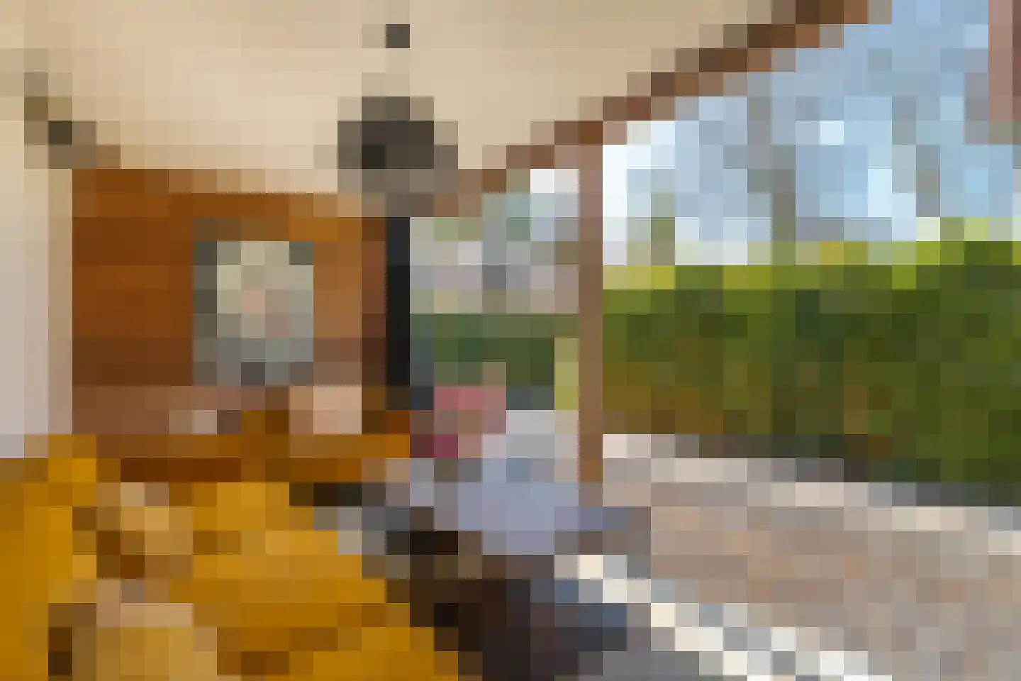 Kerkelaan 19 Bergen (NH) thumbnail 90