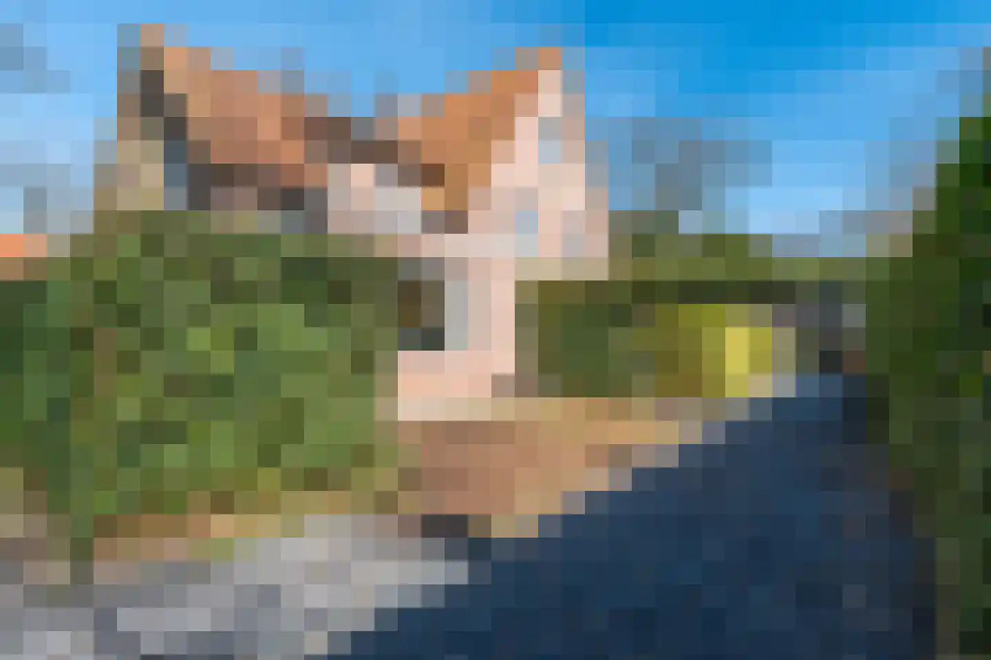 Kerkelaan 19 Bergen (NH) thumbnail 94