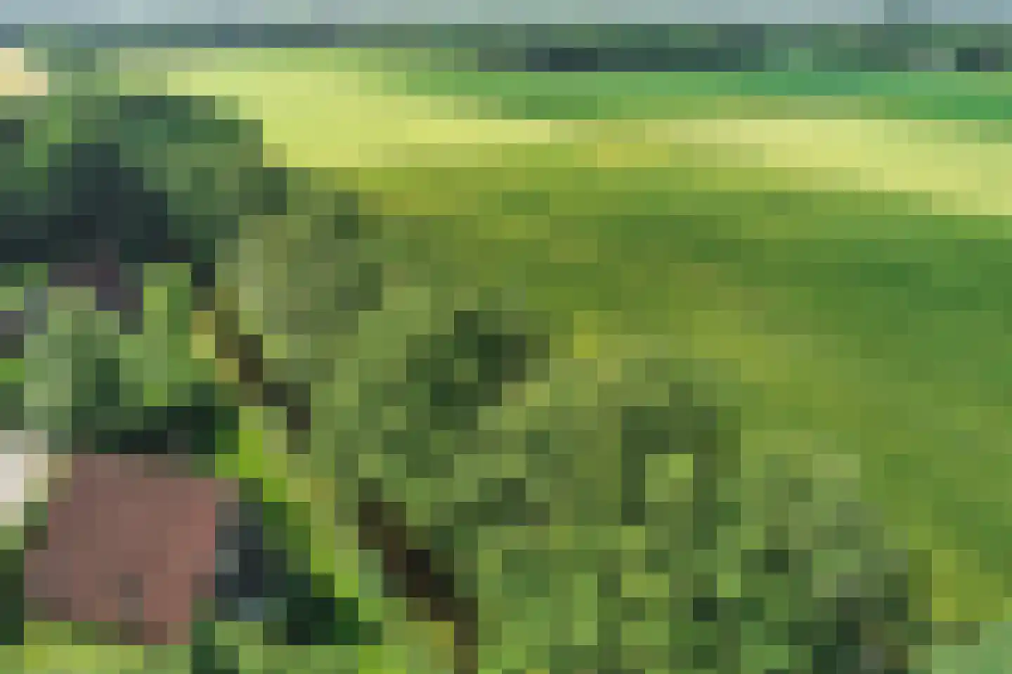 Kerkelaan 35 14 Katlijk thumbnail 24