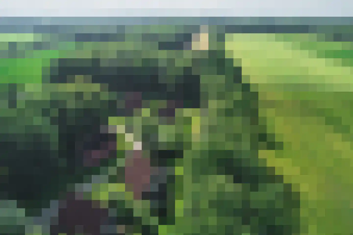 Kerkelaan 35 14 Katlijk thumbnail 25