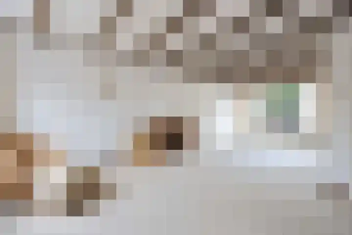 Kerkelaan 42 Heiloo thumbnail 7