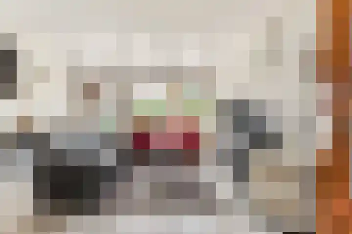 Kerkelaan 70 Heiloo thumbnail 40