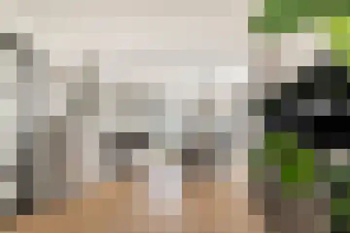 Kerkelaan 76 Heiloo thumbnail 11