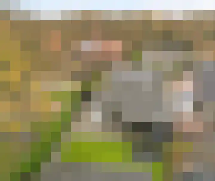 Kerkelaan 76 Heiloo thumbnail 56