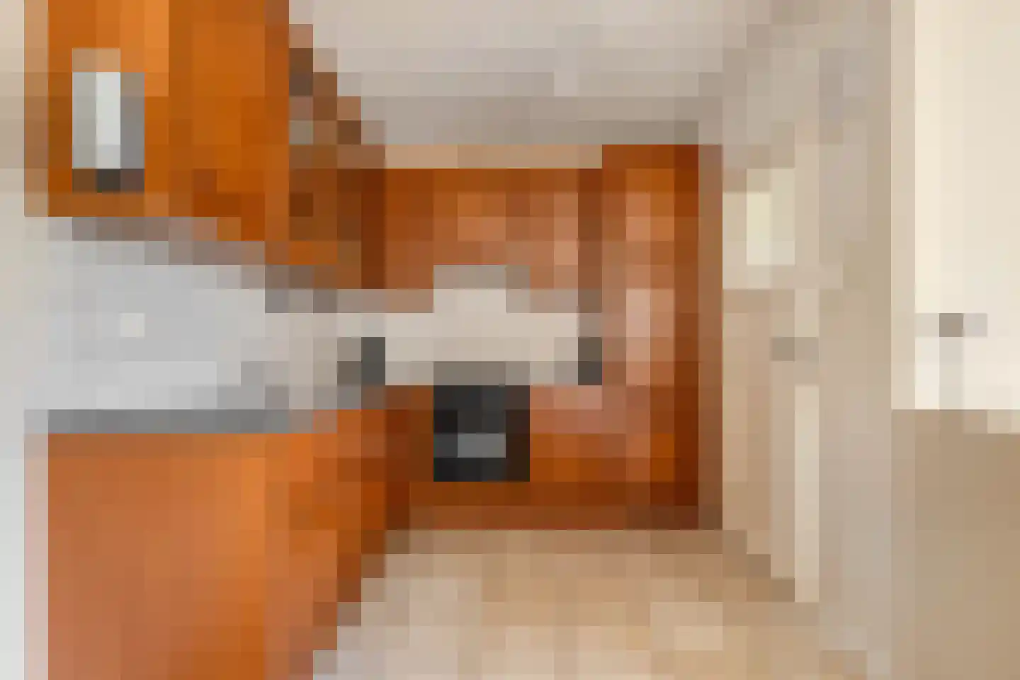 Kerkelaan 8 Katlijk thumbnail 15