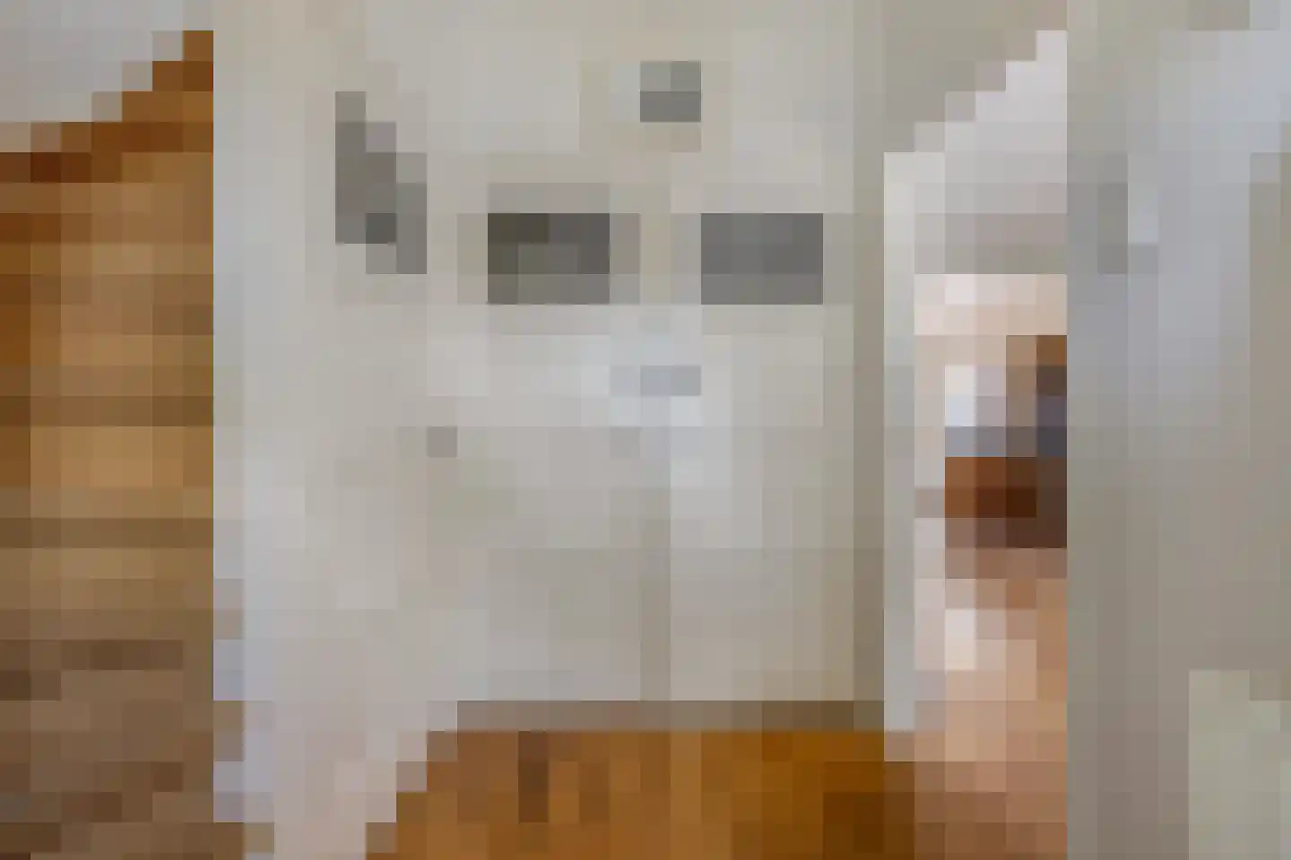 Kerkelaan 8 Katlijk thumbnail 8