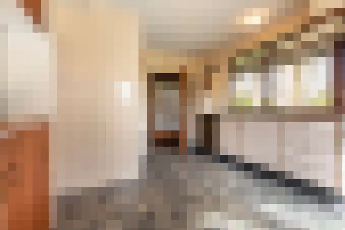 Kerkelaan 9 Bergen (NH) thumbnail 11