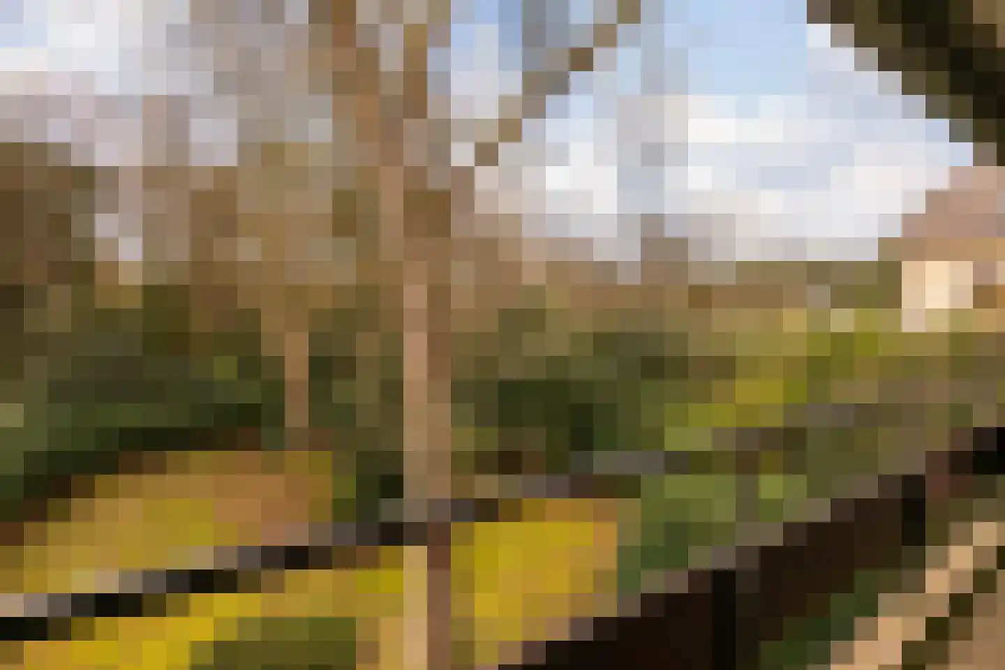 Kerkelaan 9 Bergen (NH) thumbnail 34