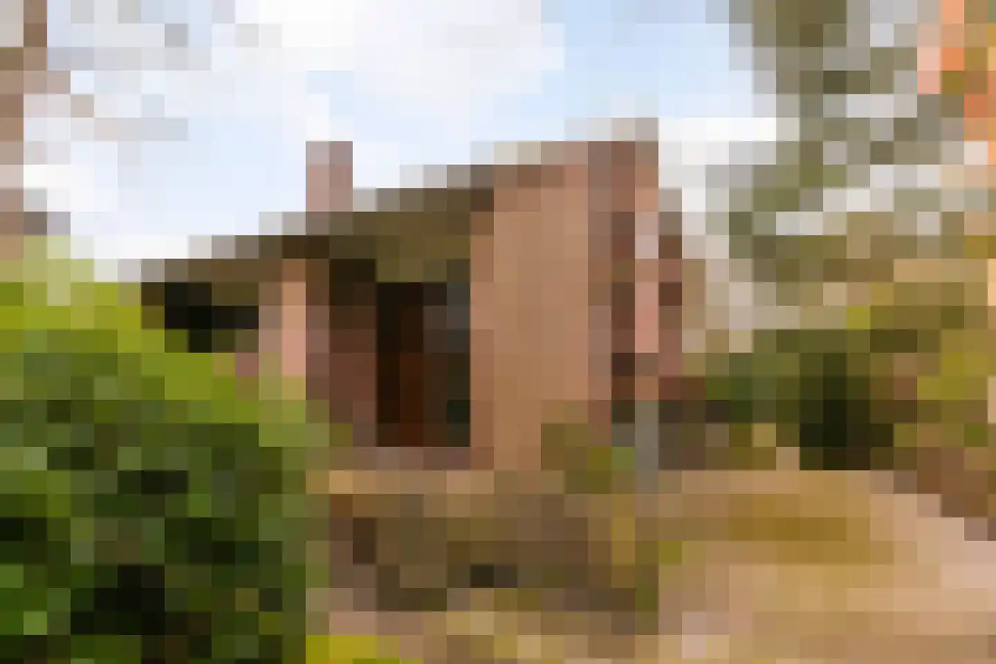 Kerkelaan 9 Bergen (NH) thumbnail 4