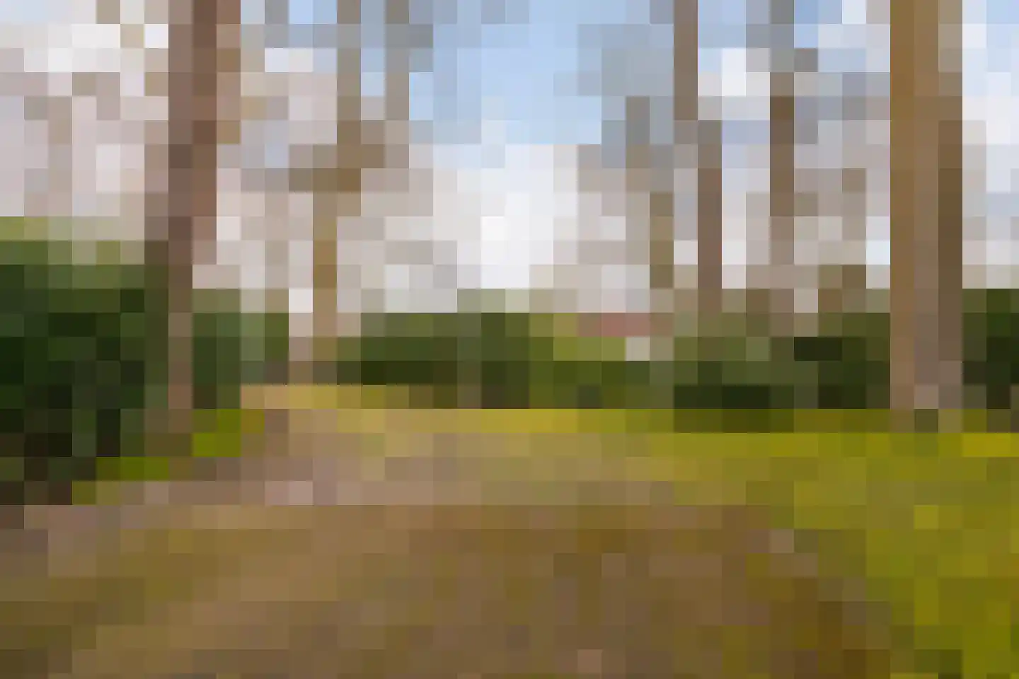 Kerkelaan 9 Bergen (NH) thumbnail 52