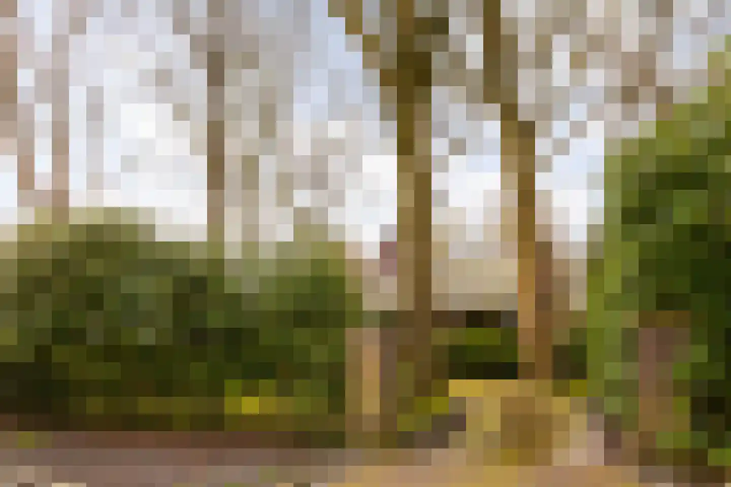 Kerkelaan 9 Bergen (NH) thumbnail 53