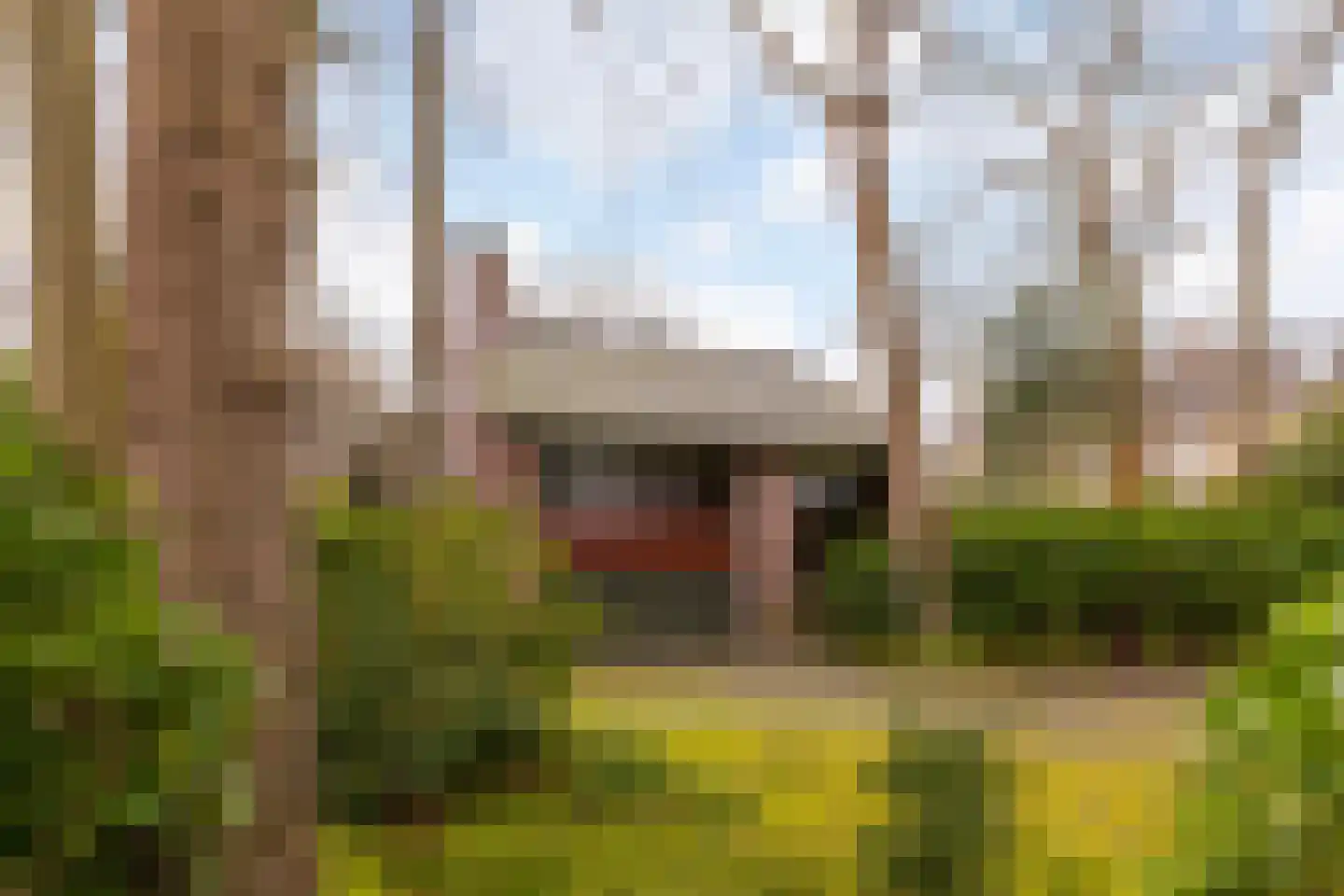 Kerkelaan 9 Bergen (NH) thumbnail 55