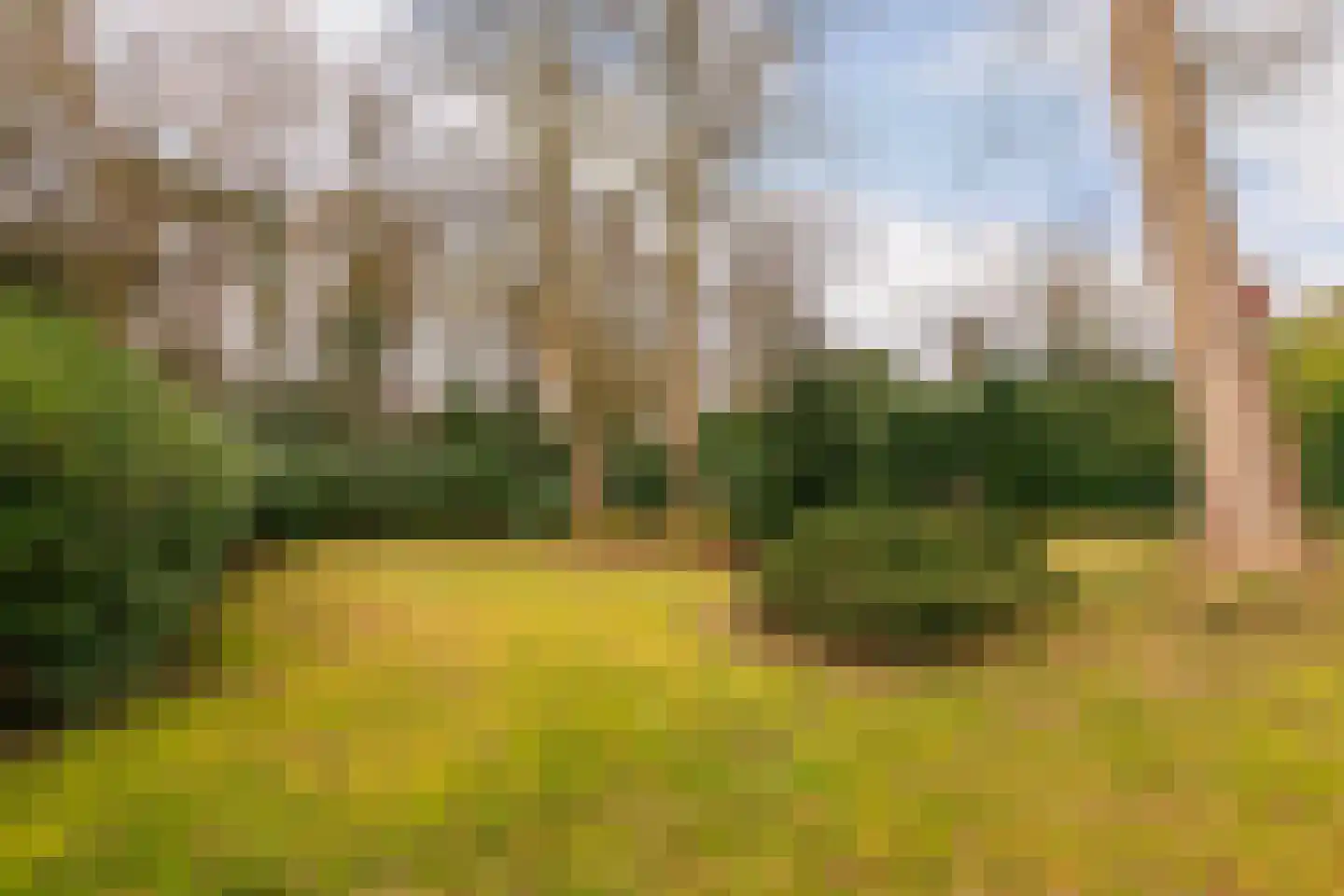 Kerkelaan 9 Bergen (NH) thumbnail 57