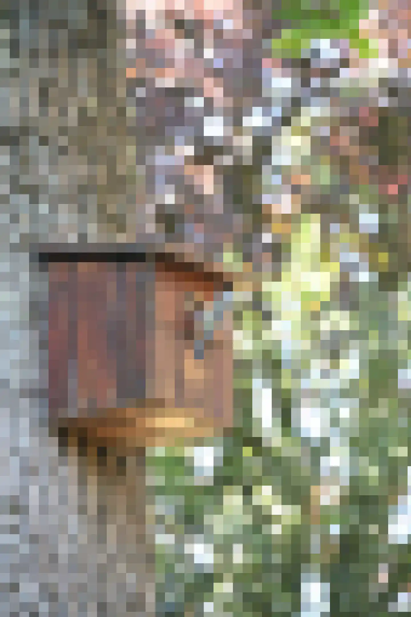 Kerkelaan 9 Bergen (NH) thumbnail 59