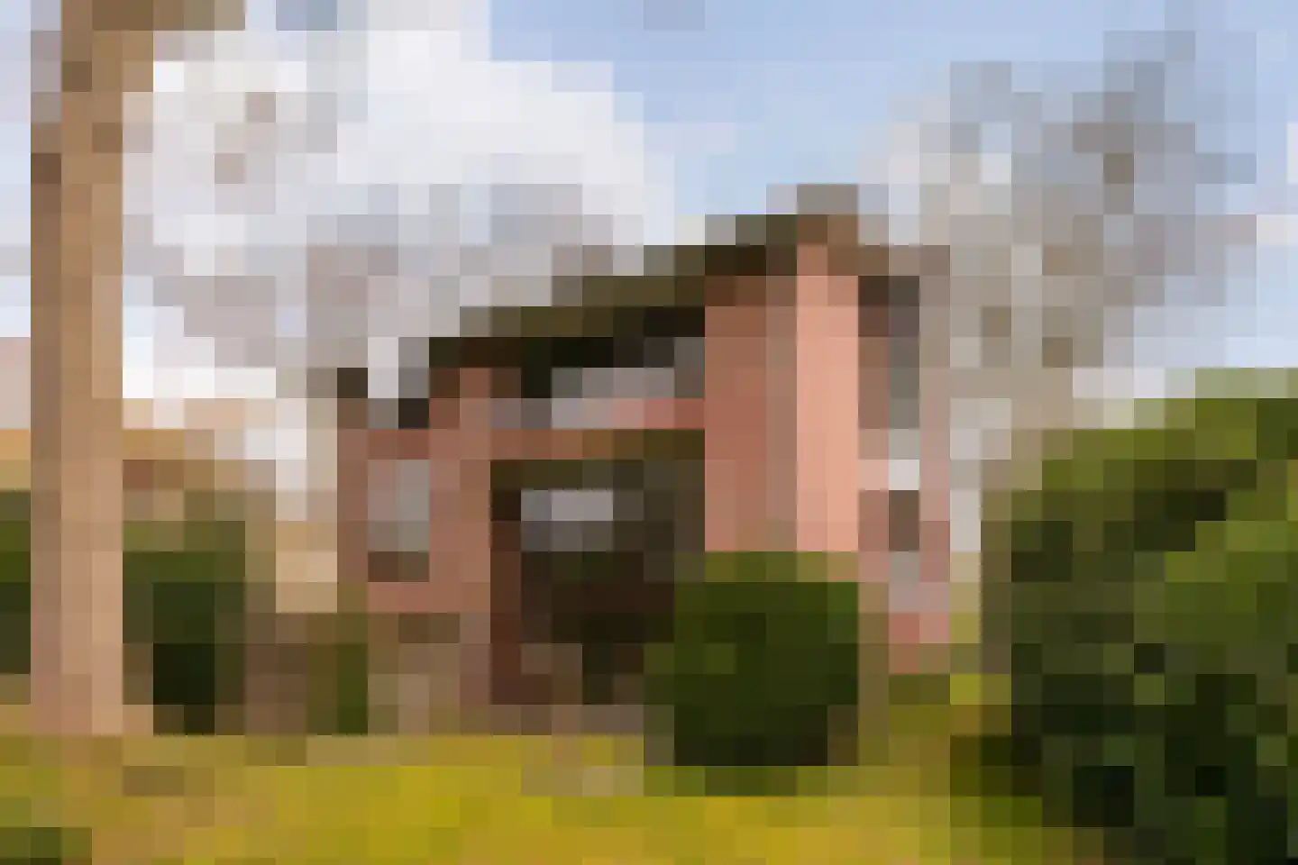 Kerkelaan 9 Bergen (NH) thumbnail 60