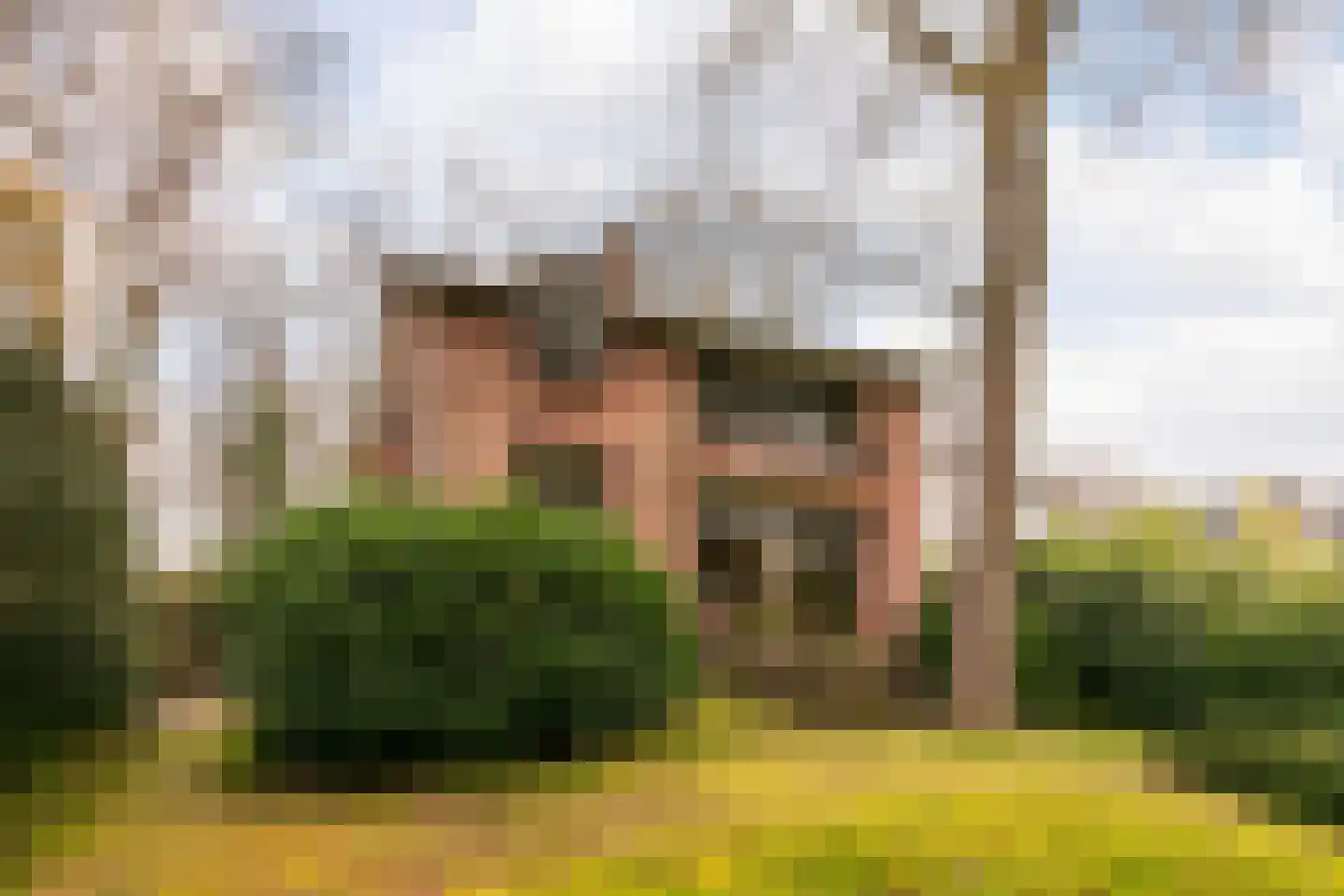 Kerkelaan 9 Bergen (NH) thumbnail 61