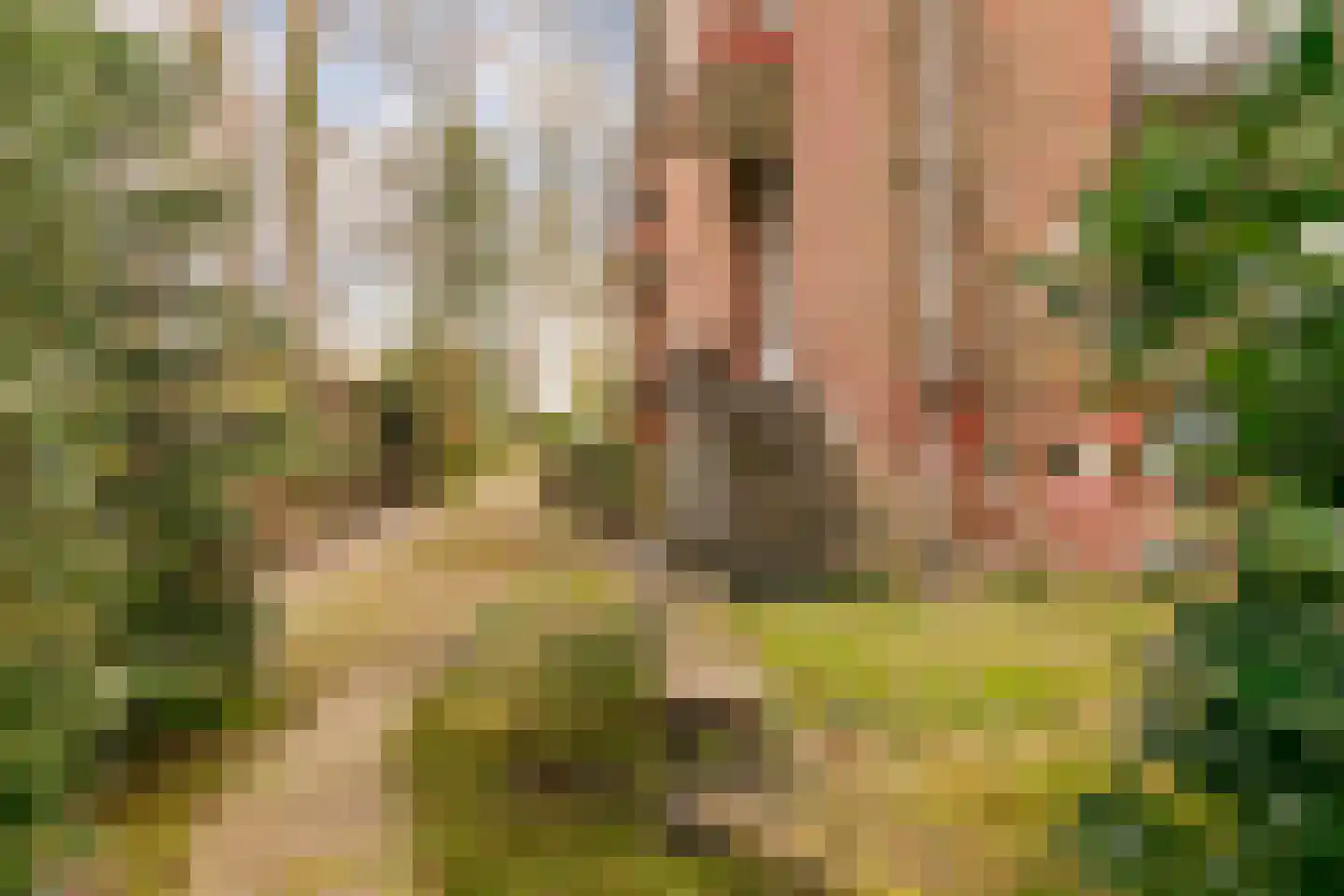Kerkelaan 9 Bergen (NH) thumbnail 62