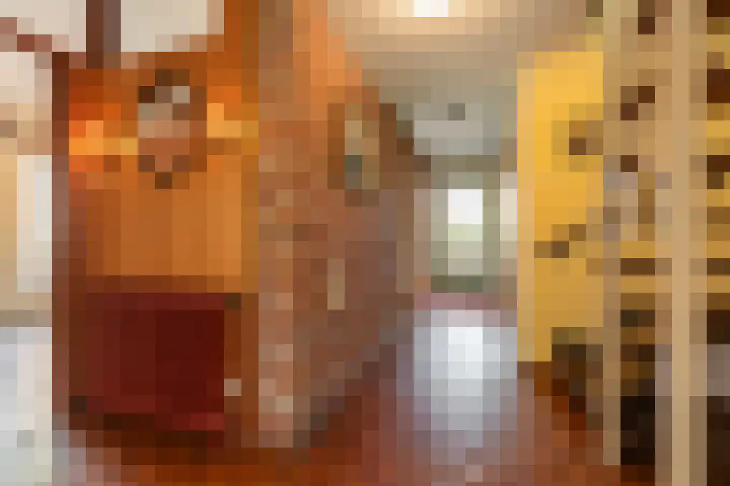 Kerkelaan 9 Bergen (NH) thumbnail 8