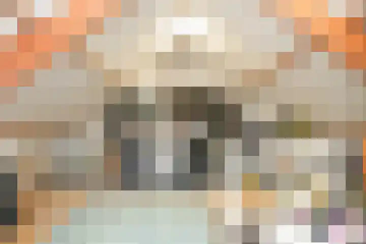 Kerkeland 14 Dreumel thumbnail 22