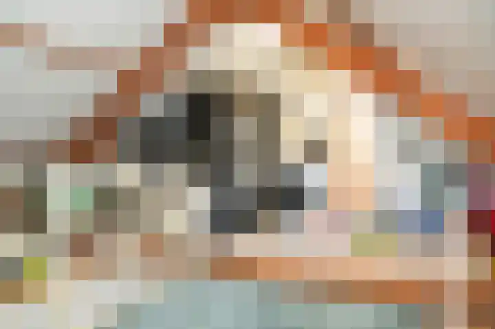 Kerkeland 14 Dreumel thumbnail 23