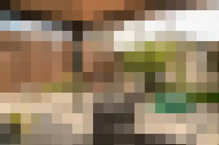 Kerkeland 14 Dreumel thumbnail 28